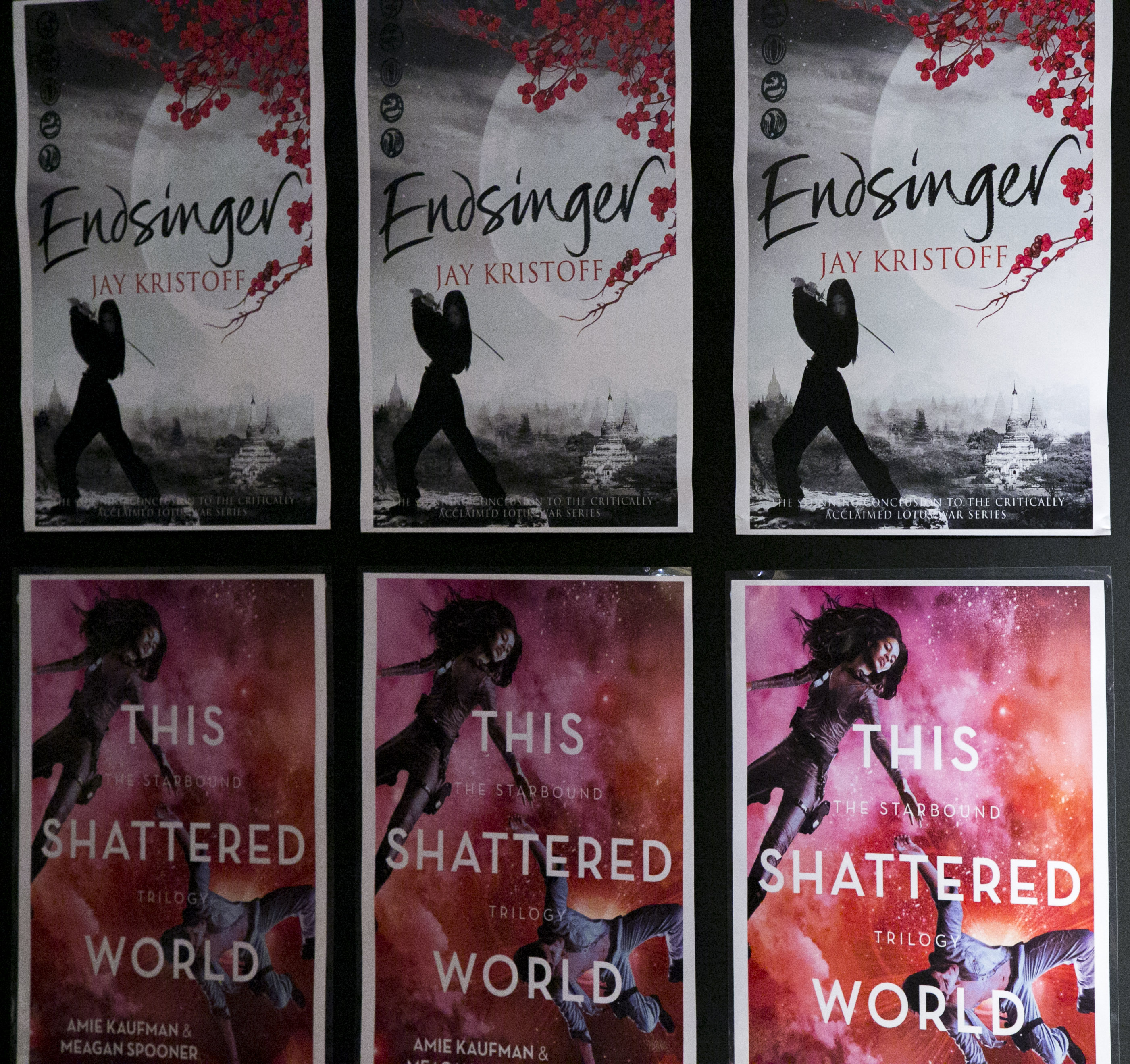 201411212014-11-21 - Endsinger Book Launch -023